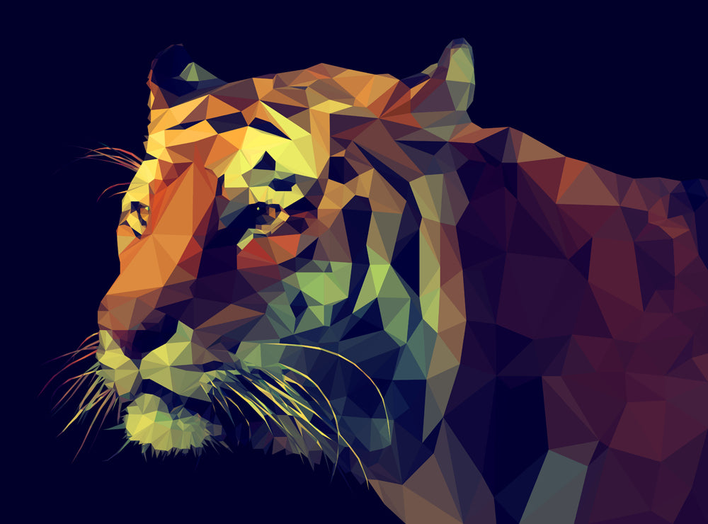 Cubic Tigre
